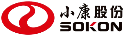 小康股份
