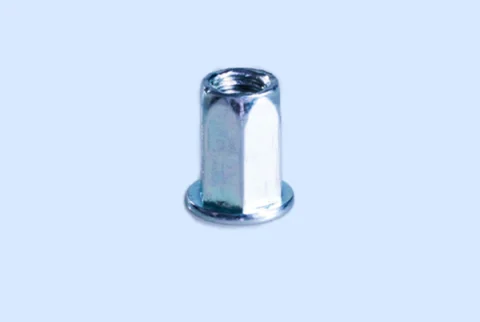 Blind Rivet Nut